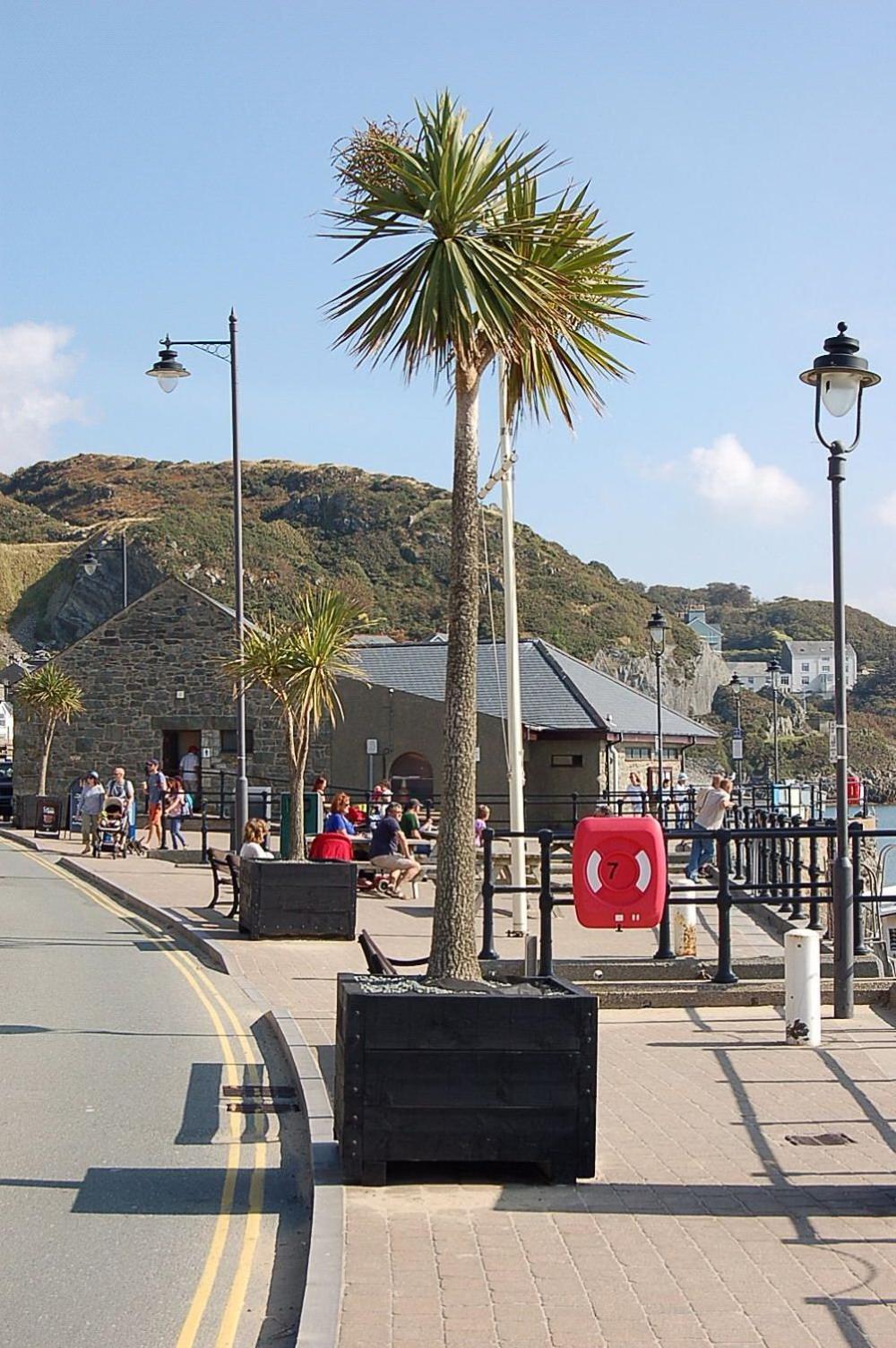 Beach Vista Apartment Three In Barmouth Zewnętrze zdjęcie